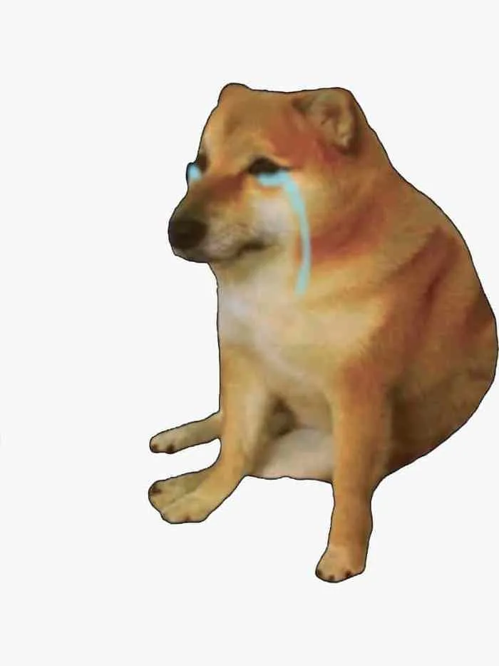 Ảnh Cheems Meme Cute [122+ Hình Nền, Avatar Cheems Ngầu, Buồn, Khóc]