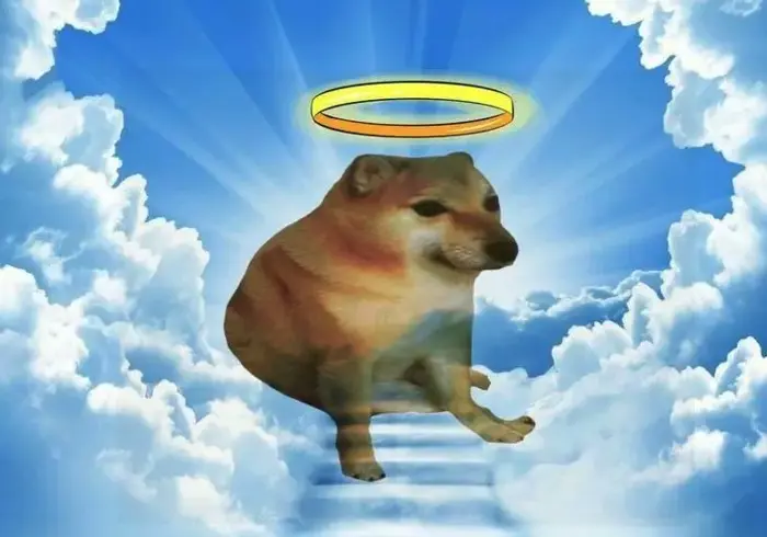 Biểu tượng Meme Cheems Balltze qua đời: Từ chú chó vụng về đến hiện tượng tiền điện tử toàn cầu | Tin tức Gate | Gate News