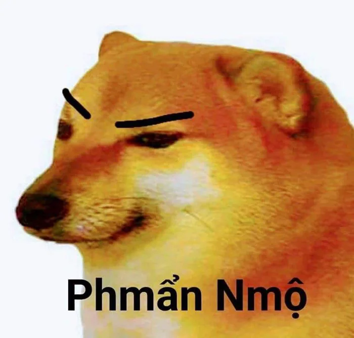 320 Meme cheems and doge ý tưởng | hài hước, meme, ảnh hài hước
