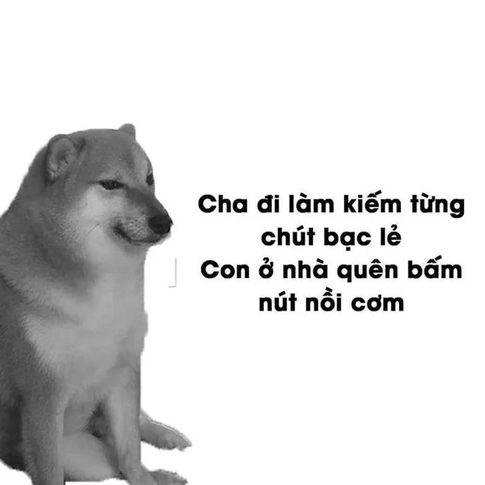 Meme cheems là gì mà sao ai cũng thích? | Vietcetera
