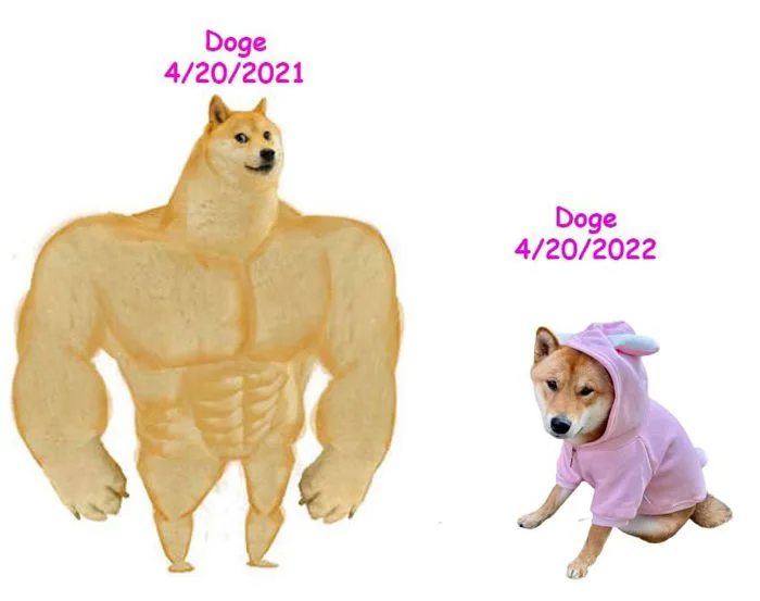 New best cheems meme : r/dogecoin