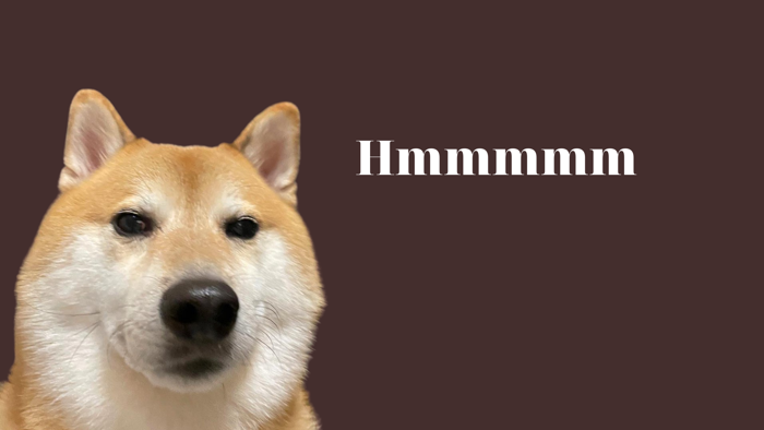 Cheems là gì? Nguồn gốc, ý nghĩa và cách sử dụng cho các Memester