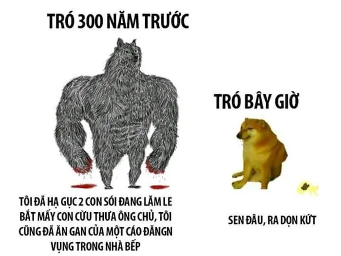 Meme cheems là gì mà sao ai cũng thích? | Vietcetera