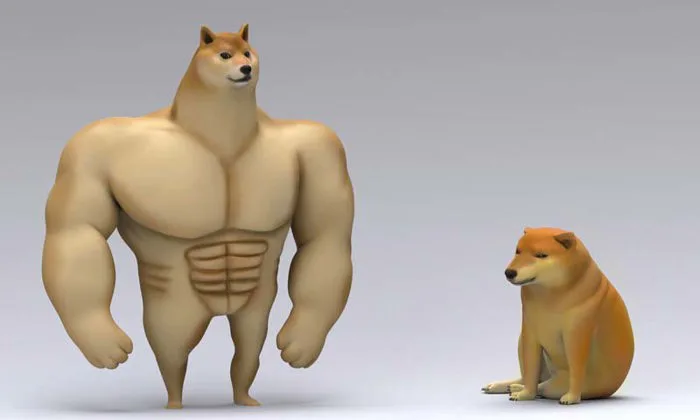 Cheems là gì? Top 5 sản phẩm phụ kiện meme cheems hot