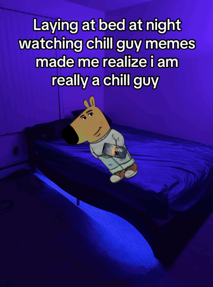 Chill guy meme”: Tất tần tật về meme hot trên TikTok, Facebook