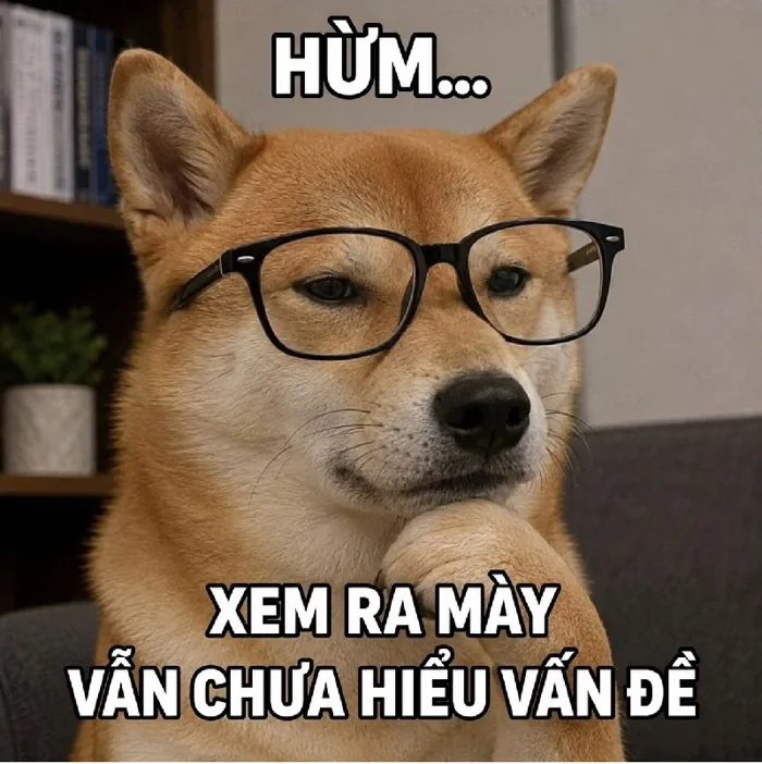 148+ Meme Chó Đeo Kính ngầu lòi cười banh nóc luôn