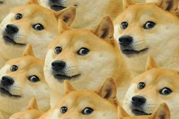 Bộ sưu tập meme chó đủ mọi thể loại siêu hài hước chắc chắn sẽ khiến