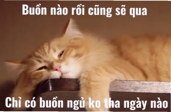 Tuyển tập Meme Chúc Ngủ Ngon: Mang Nụ Cười Trước Giấc Mơ Tuyển tập Meme Chúc Ngủ Ngon: Mang Nụ Cười Trước Giấc Mơ