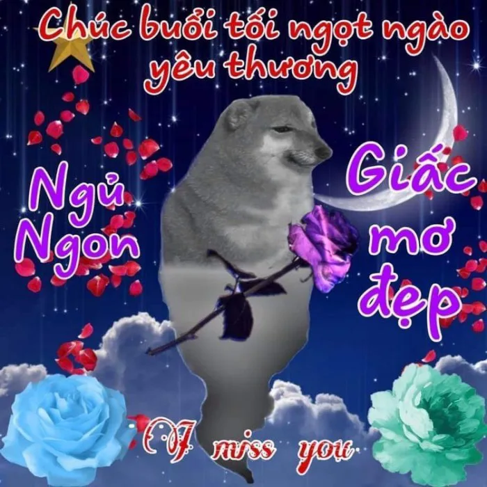 100+ ảnh meme chúc ngủ ngon đáng yêu, cute, hài hước và lầy lội nhất 100+ ảnh meme chúc ngủ ngon đáng yêu, cute, hài hước và lầy lội nhất