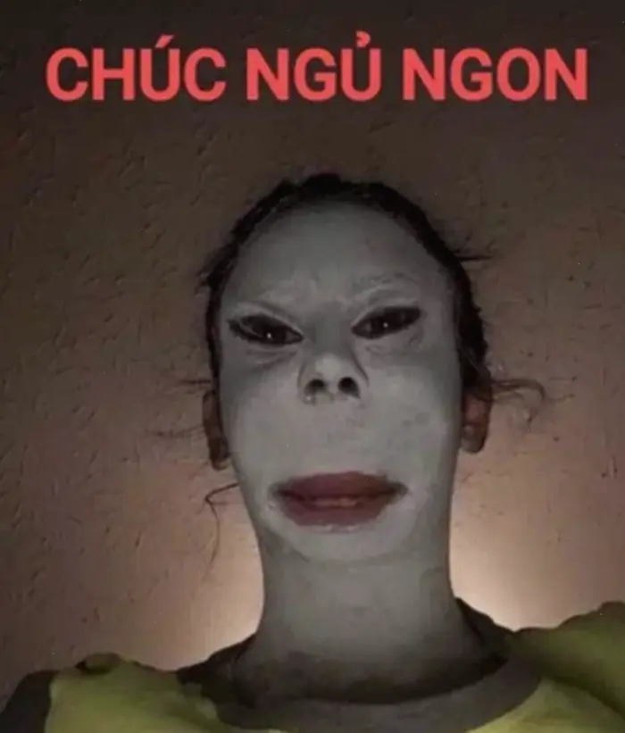 Tuyển Tập Meme Ngủ Ngon Cute: Lời Chúc Đáng Yêu Cho Giấc Mơ Êm Đềm Tuyển Tập Meme Ngủ Ngon Cute: Lời Chúc Đáng Yêu Cho Giấc Mơ Êm Đềm
