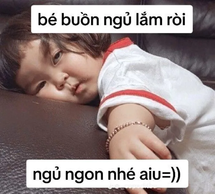 100+ ảnh meme chúc ngủ ngon đáng yêu, cute, hài hước và lầy lội nhất 100+ ảnh meme chúc ngủ ngon đáng yêu, cute, hài hước và lầy lội nhất