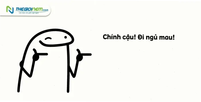 Top Meme Chúc Ngủ Ngon Hài Hước và Dễ Thương Nhất 2026 Top Meme Chúc Ngủ Ngon Hài Hước và Dễ Thương Nhất 2026
