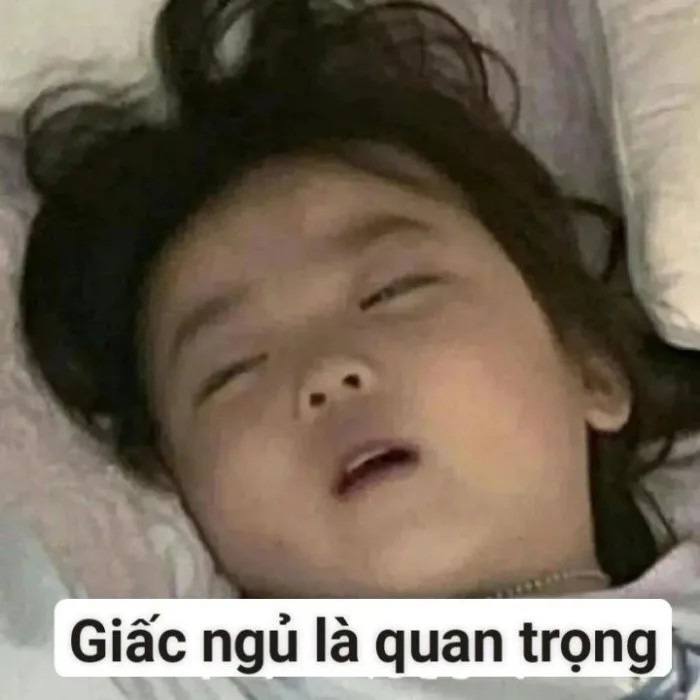 100+ ảnh meme chúc ngủ ngon đáng yêu, cute, hài hước và lầy lội nhất 100+ ảnh meme chúc ngủ ngon đáng yêu, cute, hài hước và lầy lội nhất