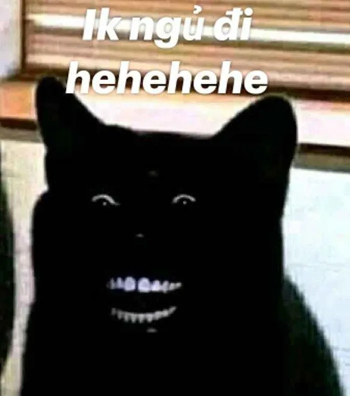 Trọn Bộ Sưu Tập Meme Chúc Ngủ Ngon Dễ Thương, Vui Nhộn 2026 Trọn Bộ Sưu Tập Meme Chúc Ngủ Ngon Dễ Thương, Vui Nhộn 2026