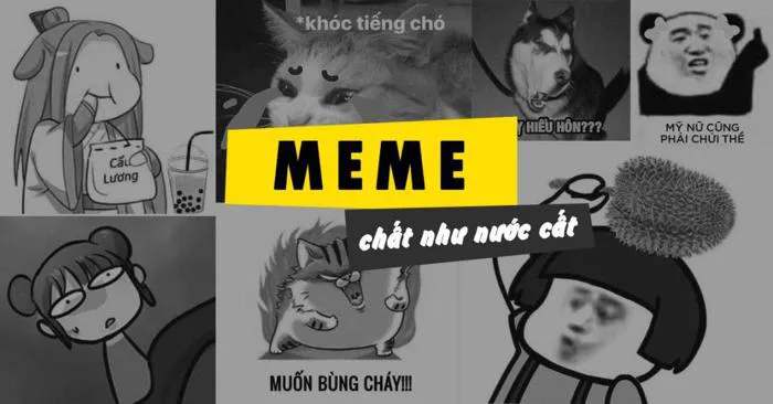 Meme là gì? 300+ meme hài, chất nhất quả đất để bạn comment dạo thả ga -  BlogAnChoi