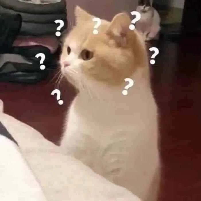 69 Tổng hợp Meme để comment ideas | cute love memes, panda mood meme, meme  meo