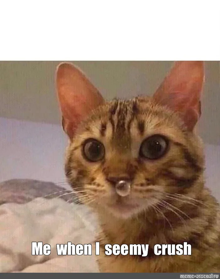 Meme: 