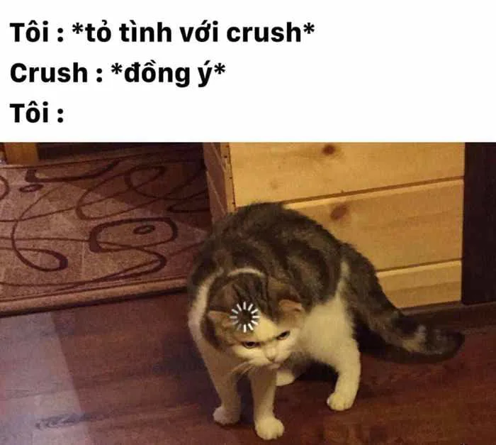 Meme Tỏ Tình Crush Hài Hước [Ảnh Tỏ Tình Cute Siêu Lãng Mạn]