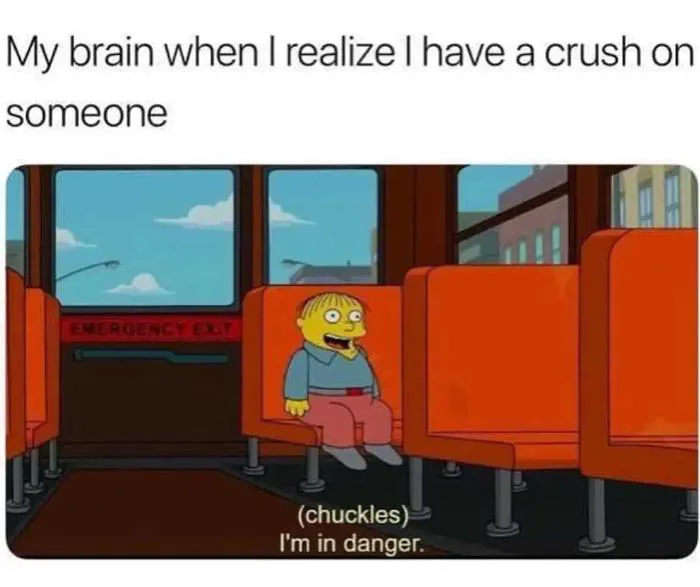 10 Memes for People Getting Crushed by Crushes