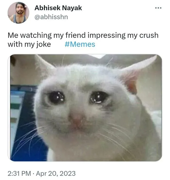The friend, your joke, your crush... (Meme in a tweet) | Abhisek Nayak