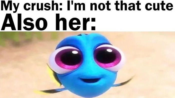 Wholesome Memes to Send to Your Crush ❤️