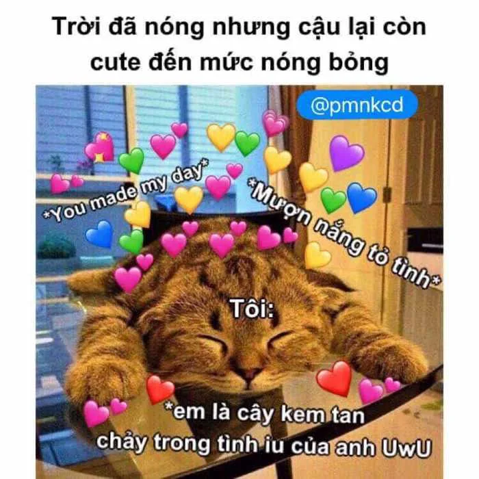 Meme Tỏ Tình Crush Hài Hước [Ảnh Tỏ Tình Cute Siêu Lãng Mạn]