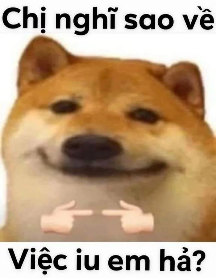 Meme Tán Gái Dính 100% [43+ Ảnh Meme Tán Crush Hài]
