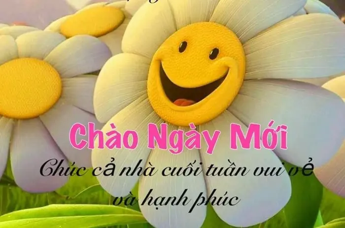 TOP] Lời chúc cuối tuần hài hước, vui vẻ Xả Stress Hiệu Quả