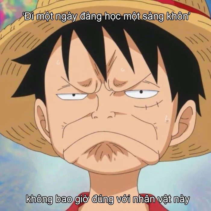 One Piece: Thư giãn cuối tuần với loạt ảnh meme cười sái quái hàm xung  quanh 