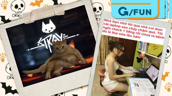 Tổng hợp meme hài hước cuối tuần: Game Mỹ Diệu, cà phê 2 len, sự riêng tư …  | GEARVN