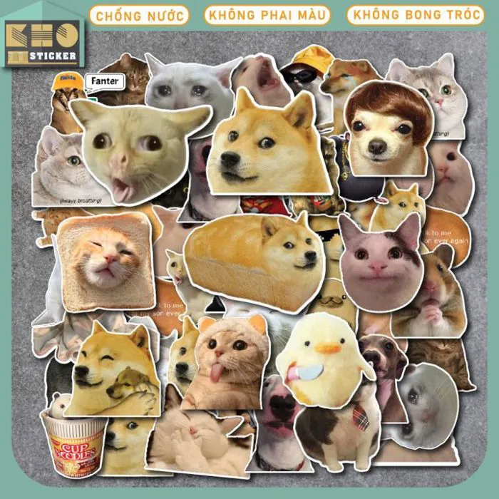 Combo 25 Sticker Meme chống nước sticker dán laptop, điện thoại, đàn  guitar, mũ bảo hiểm, vali | Lazada Việt Nam