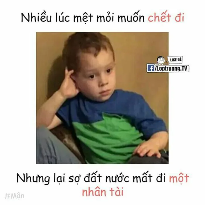 15 Thi học kì ý tưởng | chuyện vui, truyện cười, ảnh vui nhộn