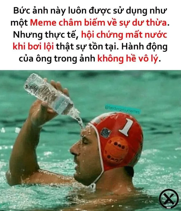 Hội chứng mất nước khi bơi nguy hiểm như thế nào ? | VN-Z | Cộng đồng Chia  Sẻ Kiến Thức Công Nghệ và Phần Mềm Máy Tính