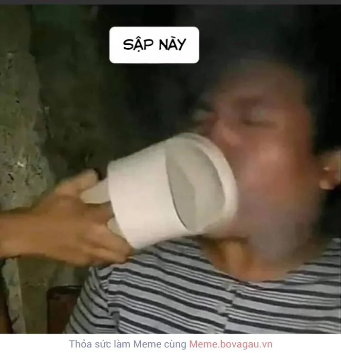 Tổng Hợp Meme 