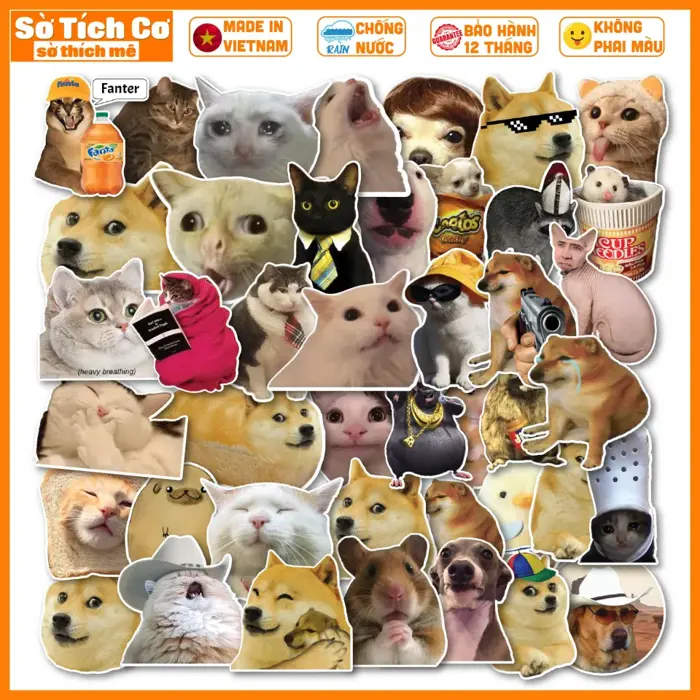 Bộ 50 Sticker] Meme chống nước sticker dán laptop điện thoại đàn guitar mũ  bảo hiểm vali. MSP:NS24 Decal Chất Lượng Cao Bền Màu Trên 5 Năm Hình Dán  Màu Sắc Đẹp