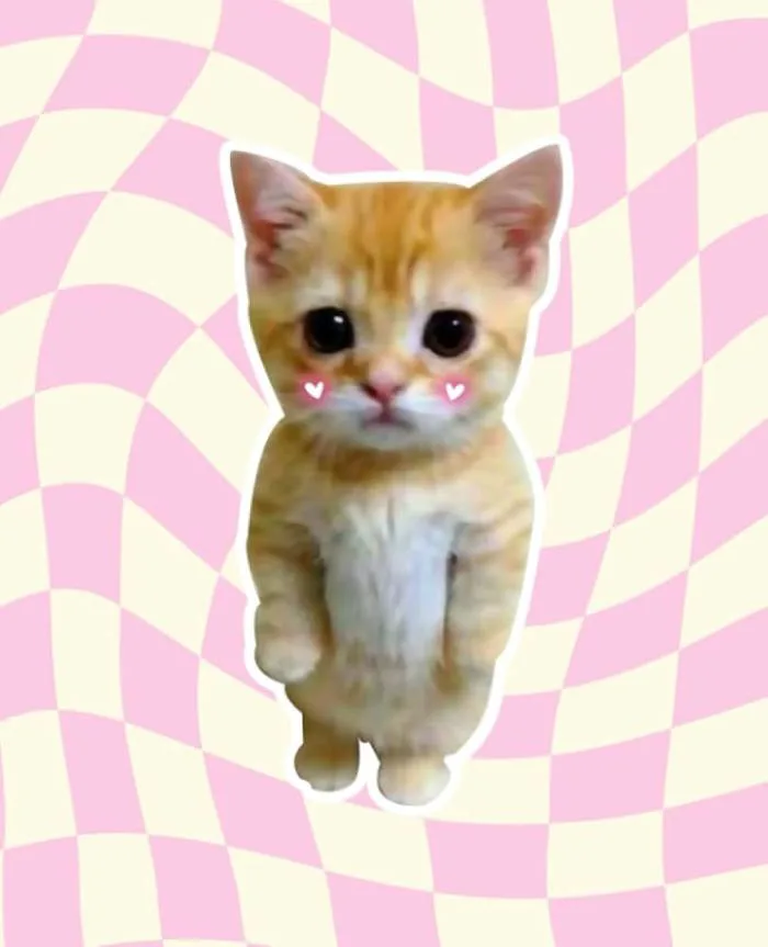 meme-cute-1