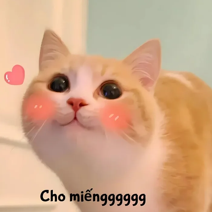 500+ meme mèo bựa, cute, khóc cười siêu vô tri hài hước cho các sen