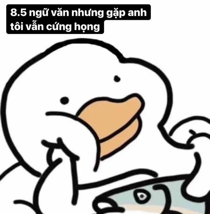 Tổng hợp ảnh meme cute có chữ và hot nhất trên mạng xã hội