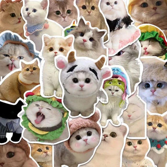 Set 100 sticker meme mèo đáng yêu cute trang trí điện thoại laptop sổ tay