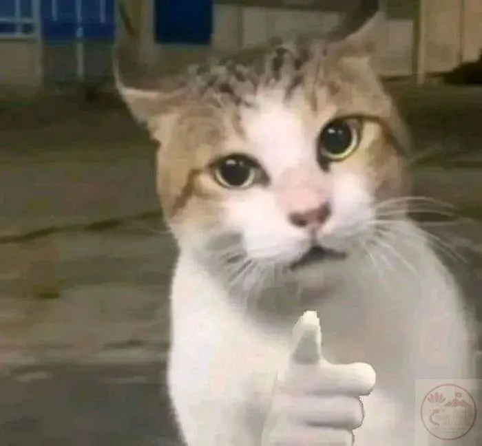 169+ Meme Đánh Giá review hài bá đạo cực lầy