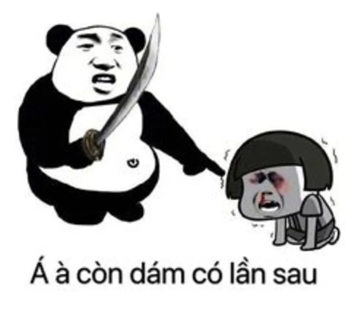 Bộ sưu tập meme đánh nhau, meme mèo đánh nhau hài hước, vui nhộn