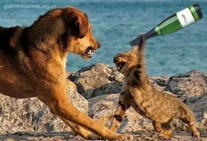 300 Meme Đánh Người: Hình ảnh hài hước để xử lý bạn bè đáng ghét, vô duyên