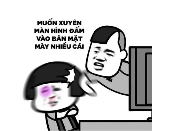 Bộ sưu tập meme đánh nhau, meme mèo đánh nhau hài hước, vui nhộn