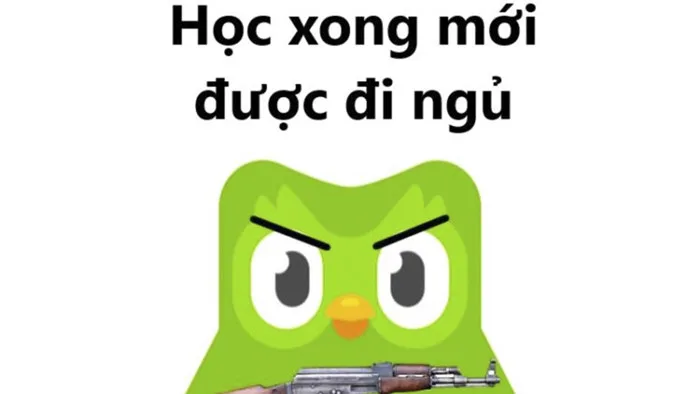 Tổng hợp các Duolingo meme hài hước, dễ tải về troll bạn bè