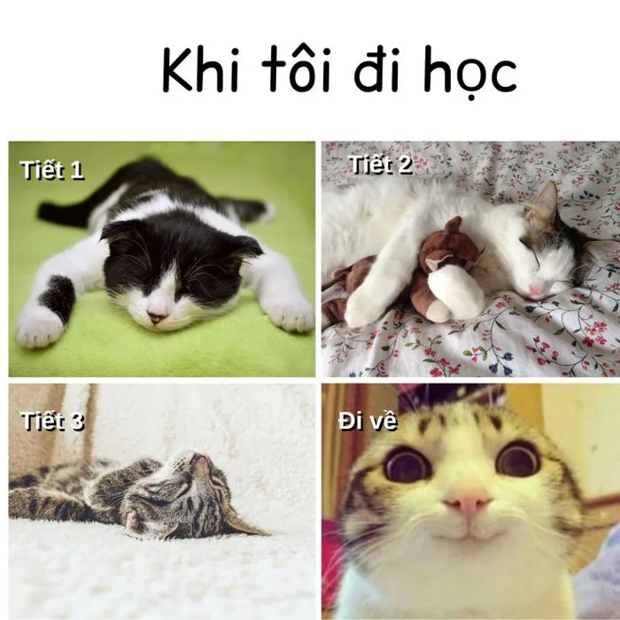 Khi tôi đi học - chế ảnh hài hước