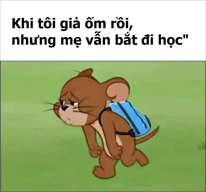 Tổng hợp meme Tom and Jerry hài hước