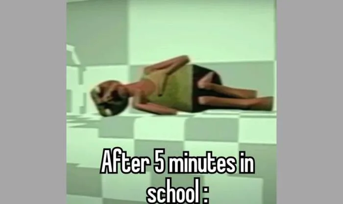 1.000+ Back to School meme hài hước, vui nhộn, miễn phí