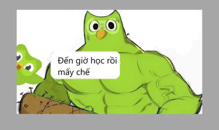 1.000+ Back to School meme hài hước, vui nhộn, miễn phí