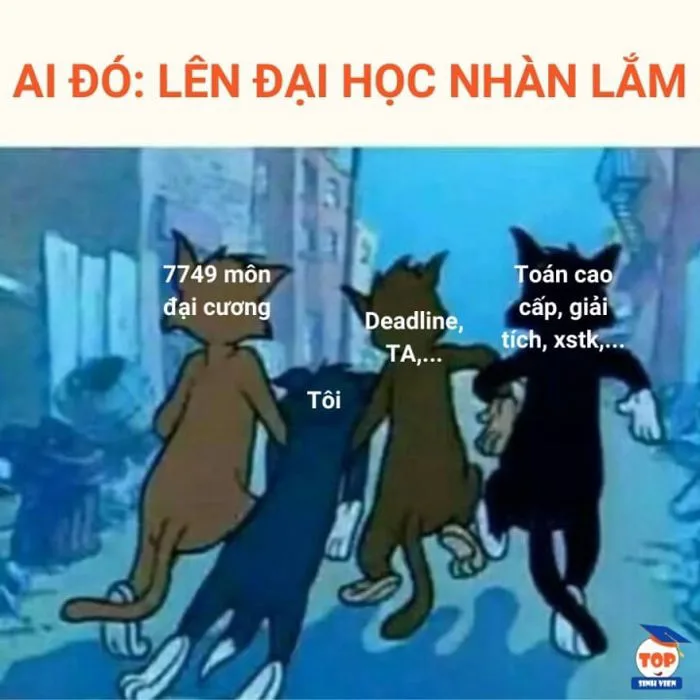 Hài hước ảnh chế trước ngày tân sinh viên nhập học