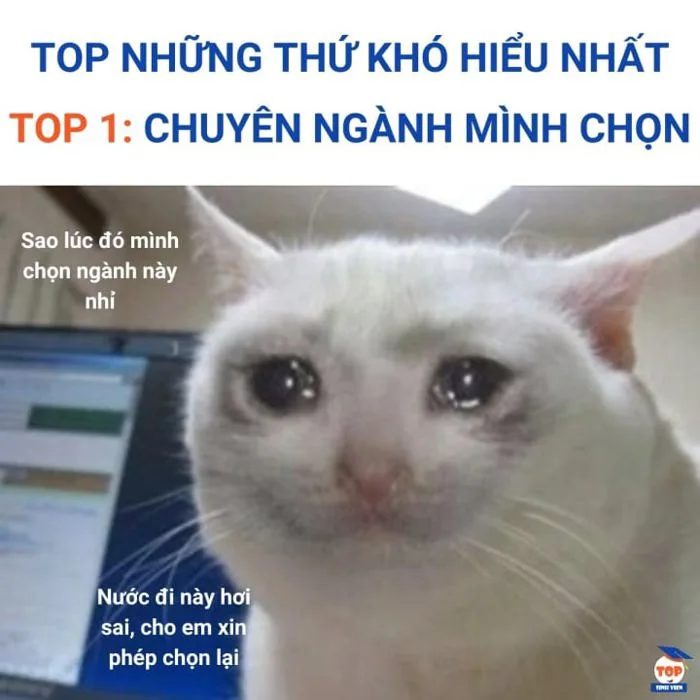 Hài hước ảnh chế trước ngày tân sinh viên nhập học